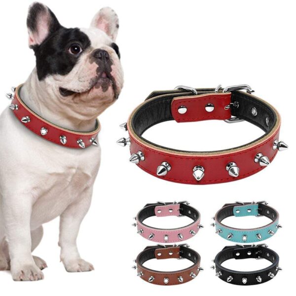 Frenchie World Shop Spiked Leather French Bulldog Collar