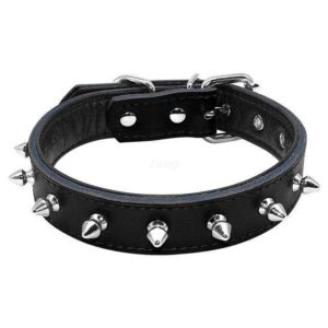 Frenchie World Shop Black / L Spiked Leather French Bulldog Collar