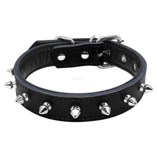 Spiked Leather French Bulldog Collar - Frenchie World Shop