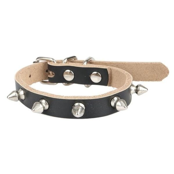 Frenchie World Shop Genuine leather / L Spiked Punk French Bulldog Collar