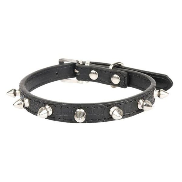 Frenchie World Shop PU 2 / L Spiked Punk French Bulldog Collar