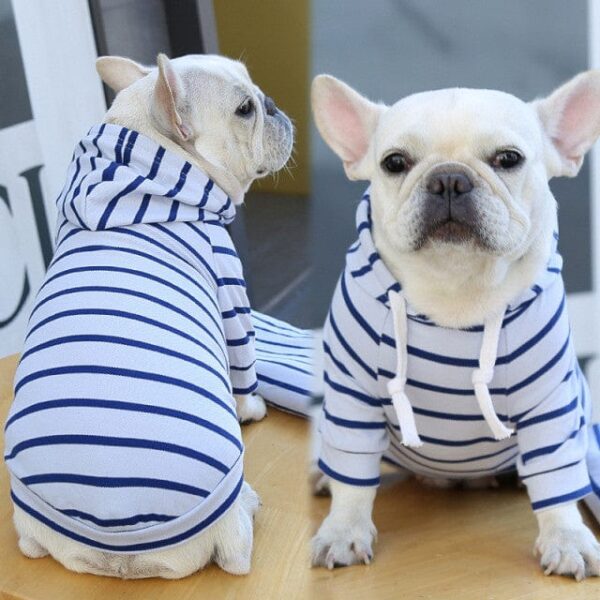 Frenchie World Shop Blue / S Spring Summer Dog Clothes Pet Matching Clothing for Dogs Coat Jacket Stripe Dog Hoodies French Bulldog Clothes Dogs Clothing