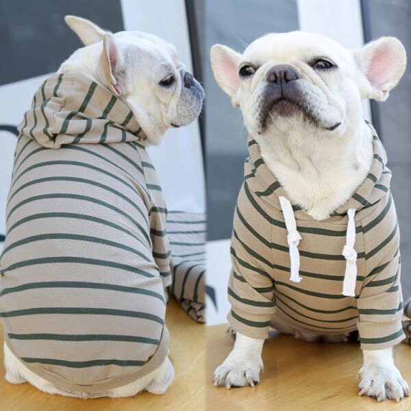 Frenchie World Shop Khaki / S Spring Summer Dog Clothes Pet Matching Clothing for Dogs Coat Jacket Stripe Dog Hoodies French Bulldog Clothes Dogs Clothing