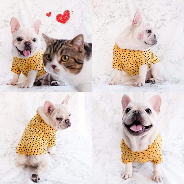 Frenchie World Shop Stars French Bulldog T-shirt