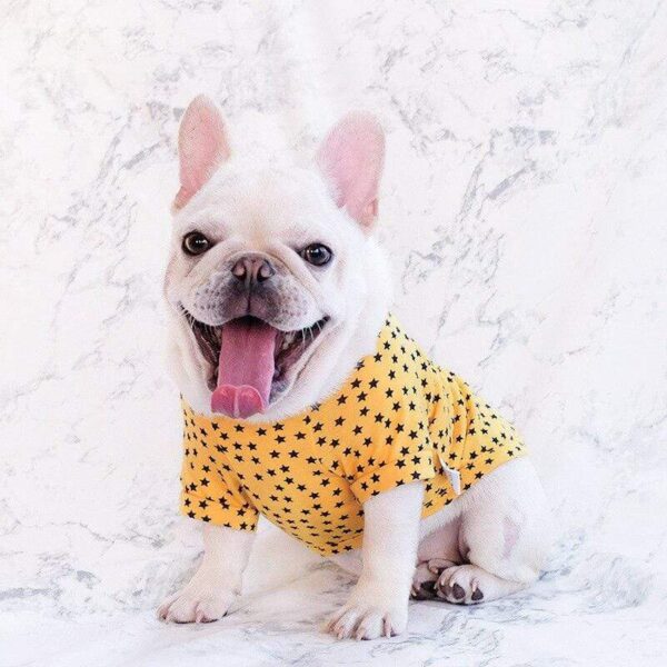Frenchie World Shop S Stars French Bulldog T-shirt