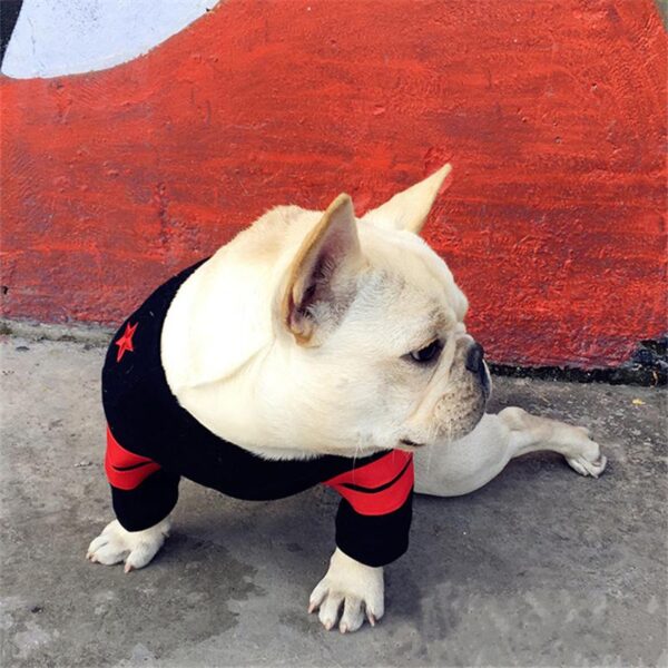 Frenchie World Shop Stars & Stripes Frenchie Crewneck