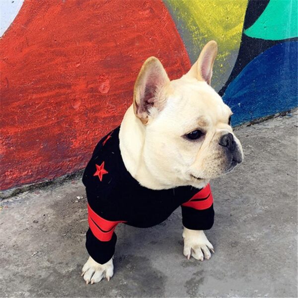 Frenchie World Shop Stars & Stripes Frenchie Crewneck