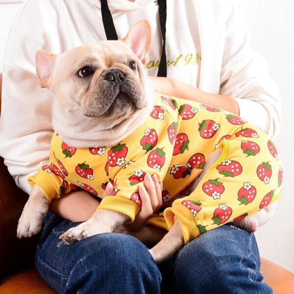 Frenchie World Shop Strawberry Cotton Dog Pajamas