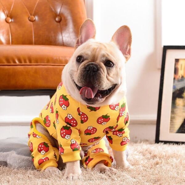 Frenchie World Shop Gold / XS Strawberry Cotton Dog Pajamas