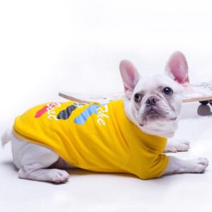 Frenchie World Shop Street Sport Dog Sweathshirt