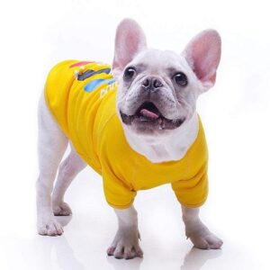 Frenchie World Shop Street Sport Dog Sweathshirt