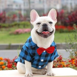 Frenchie World Shop A / S Stripe Shirt Dog Puppy  Plaid Magliette Cane Korean Dog Clothes Chemise Chien Gentleman Soft Casual Suit Wedding Bulldog Outfit