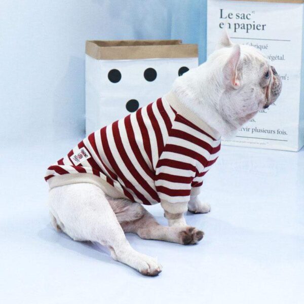 Frenchie World Shop Striped Cotton Frenchie Sweatshirt