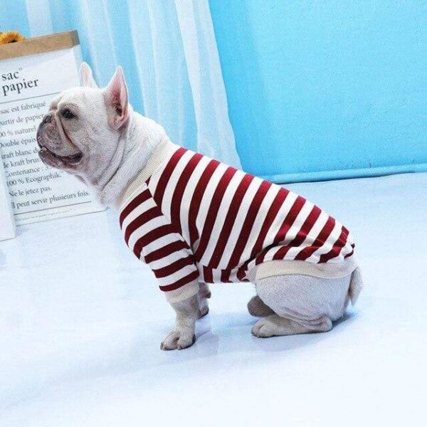 Frenchie World Shop Red / XXXL Striped Cotton Frenchie Sweatshirt