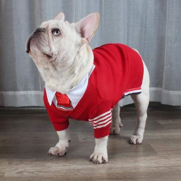 Frenchie World Shop Striped Dog Cardigan