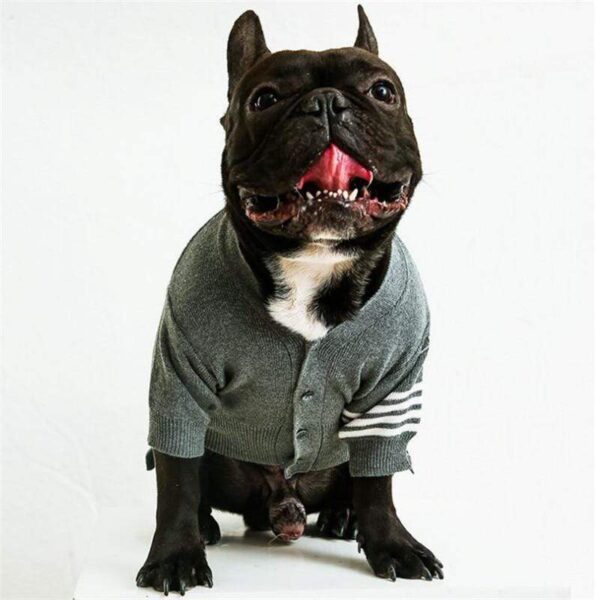 Frenchie World Shop Striped Dog Cardigan