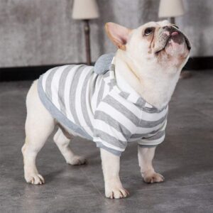 Frenchie World Shop Striped Hoodie With Ears