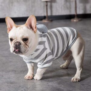 Frenchie World Shop Striped Hoodie With Ears