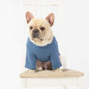 Frenchie World Shop Blue / 3XL Striped Light Frenchie T Shirt