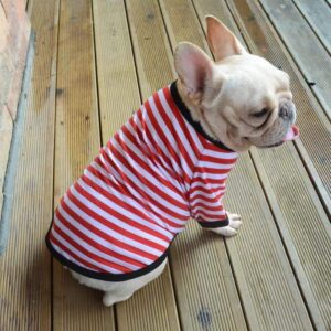 Frenchie World Shop Striped Lightweight French Bulldog Tee