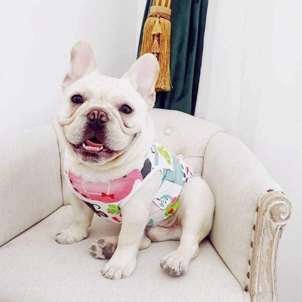 Frenchie World Shop Summer Aquarelle French Bulldog Vest