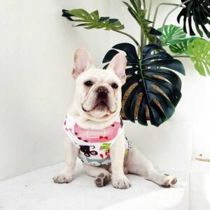 Frenchie World Shop White / L-4 Summer Aquarelle French Bulldog Vest