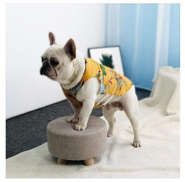 Frenchie World Shop Summer Breathable French Bulldog Vest