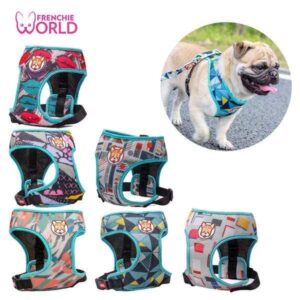 Frenchie World Shop Summer Breathable Ultra Soft Harness and Leash