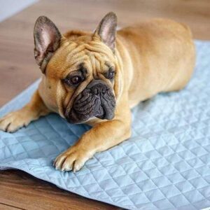 Frenchie World Shop Summer Cooling French Bulldog Furniture Cover