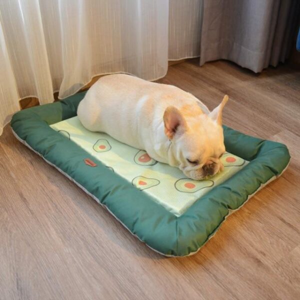 Frenchie World Shop Avocado Pet Bed / S Summer Cooling French Bulldog Pad Bed