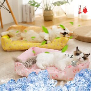 Frenchie World Shop Summer Cooling Frenchie Mat