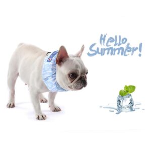 Frenchie World Shop Summer Cooling Scarf for French Bulldogs