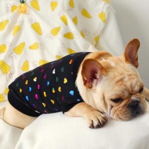 Frenchie World Shop Summer French Bulldog Streetwear Sweatshirt