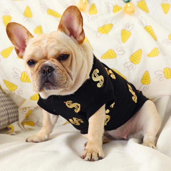 Frenchie World Shop Gold / M Summer French Bulldog Streetwear Sweatshirt