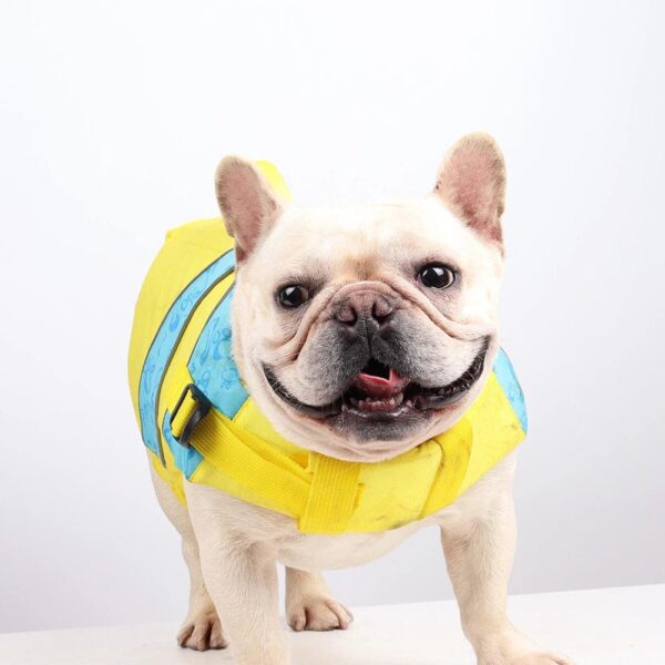 Frenchie World Shop Sun & Waves French Bulldog Life Jacket