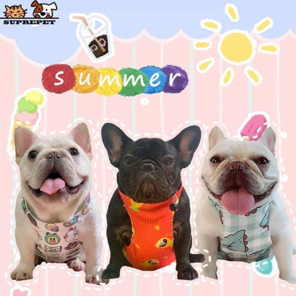 Frenchie World Shop SUPREPET Summer Dog Clothes for Small Dogs Cute Cartoon French Bulldog Costume Puppy Shirts Cool Pet Vest Designer Dog Clothing