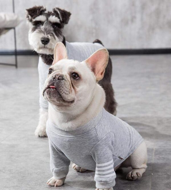 Frenchie World Shop Thick Dog Tank