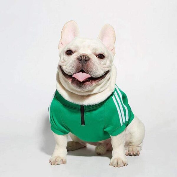 Frenchie World Shop Three Stripes Frenchie Hoodie