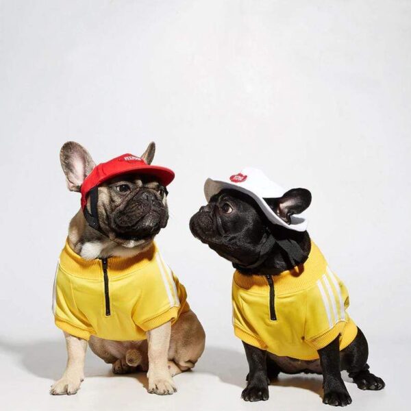 Frenchie World Shop Three Stripes Frenchie Hoodie