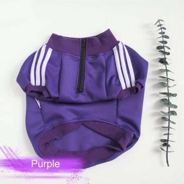 Frenchie World Shop Purple / XL Three Stripes Frenchie Hoodie