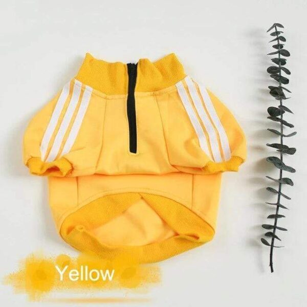 Frenchie World Shop Yellow / M Three Stripes Frenchie Hoodie