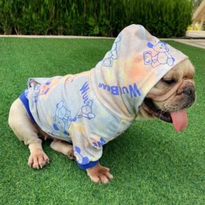 Frenchie World Shop Blue / XL Tie-Dye Spring Frenchie Hoodie