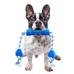 Frenchie World Shop Dog care Tooth cleaning chew toy