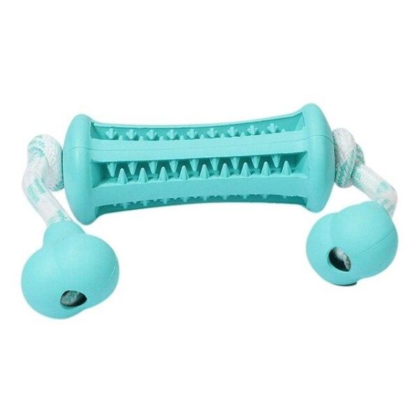 Frenchie World Shop Dog care Turquoise / S / China Tooth cleaning chew toy