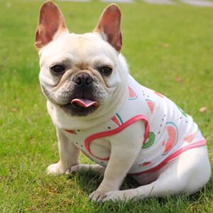 Frenchie World Shop Transparent Mesh French Bulldog Summer Vest