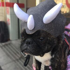 Frenchie World Shop One sizefits all / Click Here / China Triceratops Dinosaur Headgear