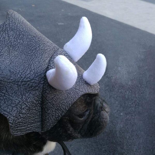 Frenchie World Shop One sizefits all / Click Here / China Triceratops Dinosaur Headgear