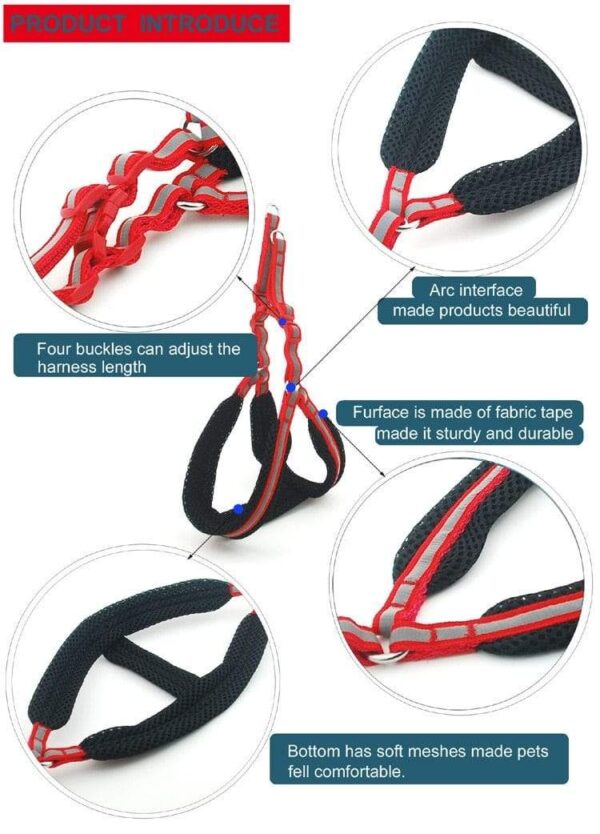 Frenchie World Shop Ultra Light Reflective Padded Harness and Leash Set