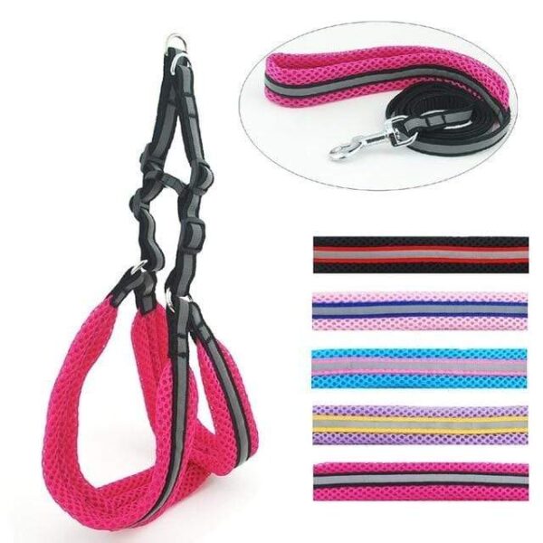 Frenchie World Shop Black / S Ultra Light Reflective Padded Harness and Leash Set