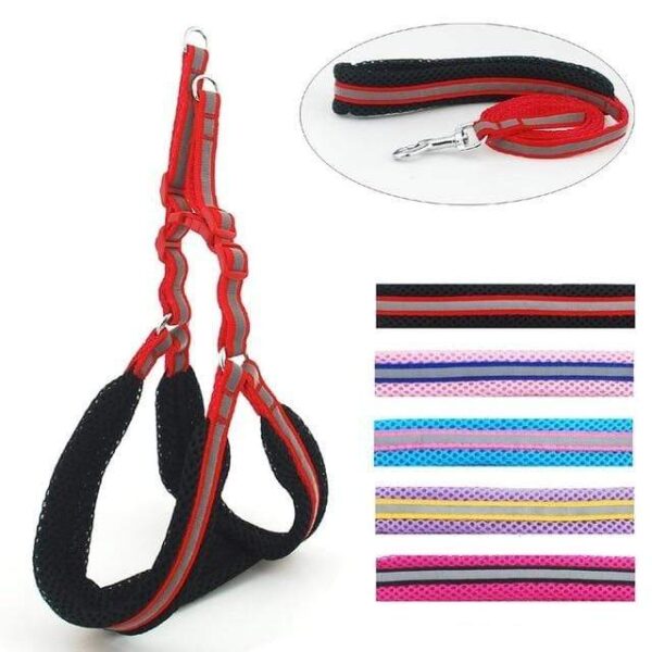Frenchie World Shop Red / S Ultra Light Reflective Padded Harness and Leash Set